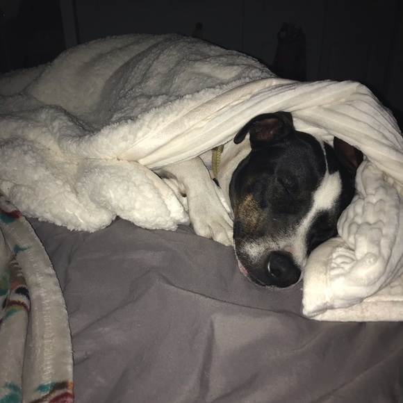 GOOD VIBES Other - Meet the Posher, Tonie!💛